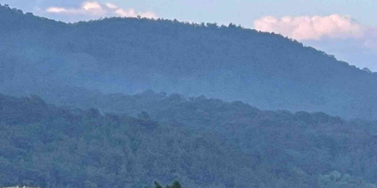 Alanya’da orman yangınında 5 dönüm alan zarar gördü