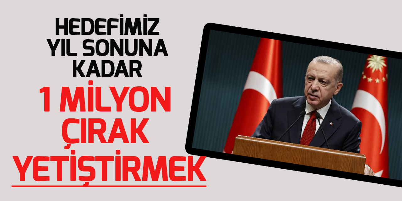 Cumhurbaşkanı Erdoğan'dan Mesleki Eğitim Merkezleriyle ilgili paylaşım