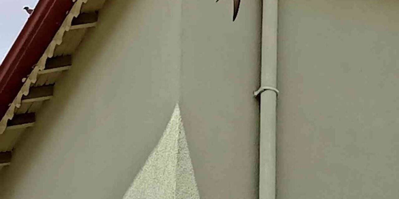 İpte asılı kalan ebabil kurtarıldı