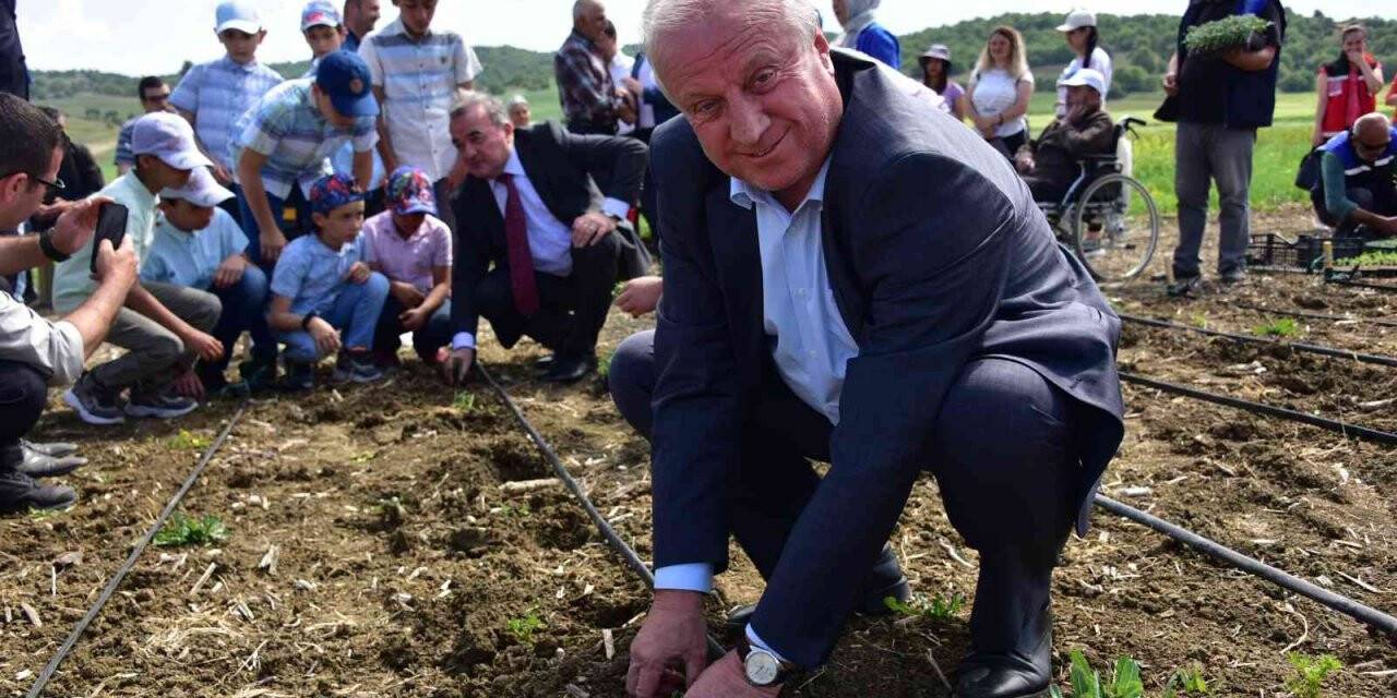 Sebze Yetiştiriciliği Kursu’nda fide ve tohumlar toprakla buluştu