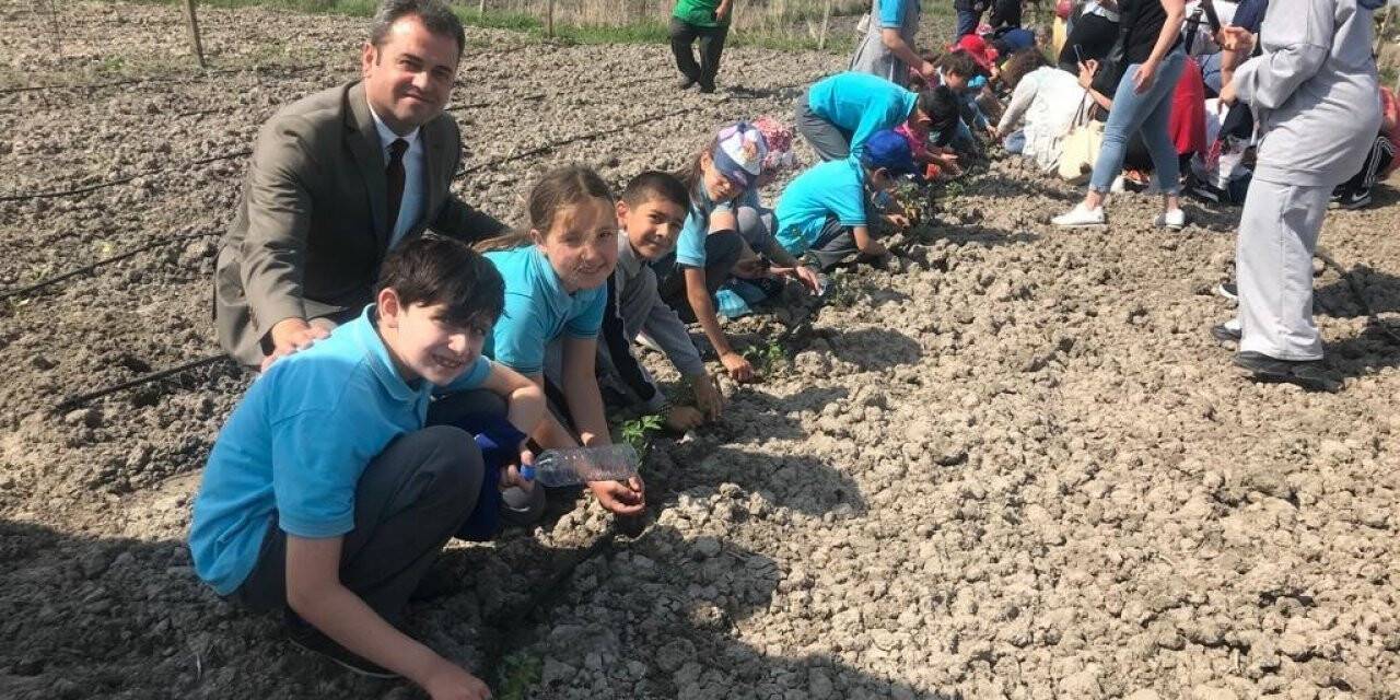 Ergeneli çocuklar toprakla buluştu