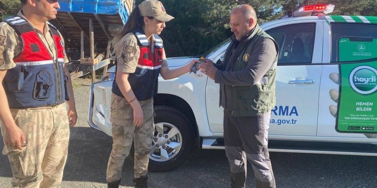 Yaralı su kuşuna jandarmadan şefkat eli