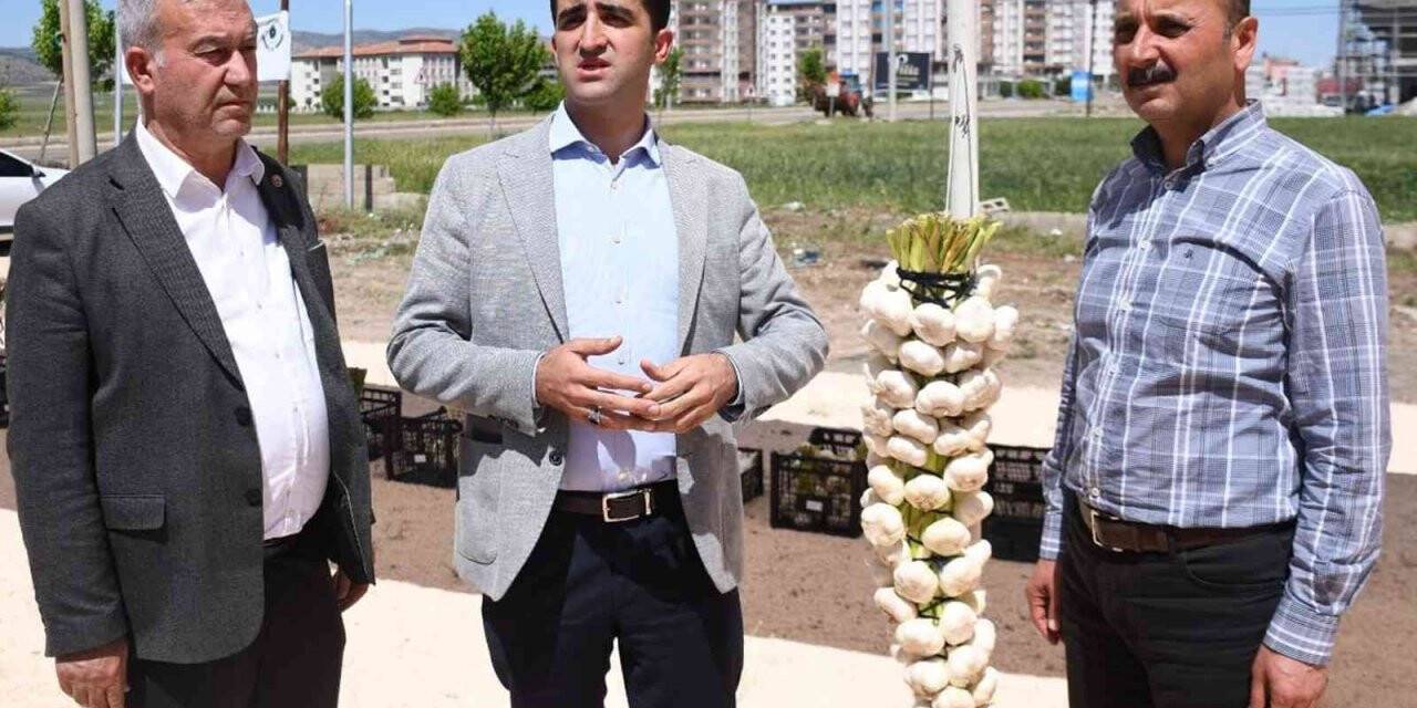 Sarımsak ve firik üreticileri altın için yarıştı