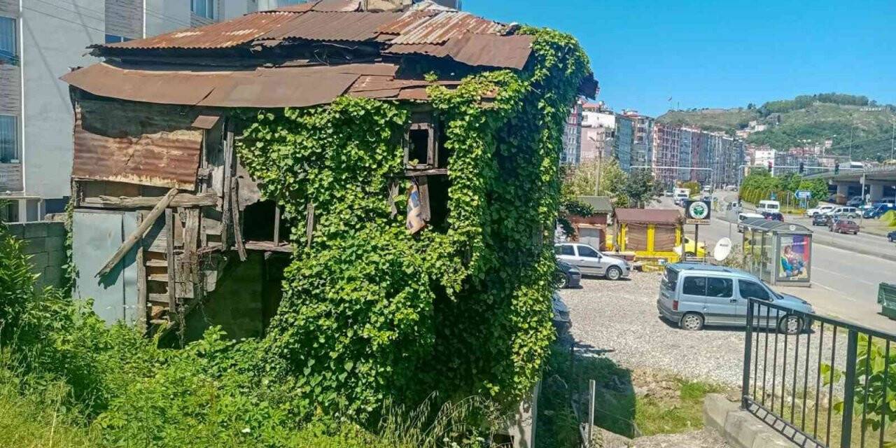 Giresun’da metruk binalar yıkılıyor