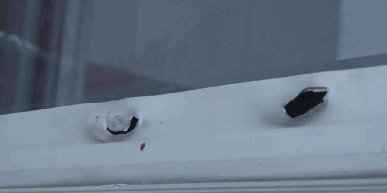 Semih Tufan Gülaltay’ın Maltepe’deki ofisine silahlı saldırı