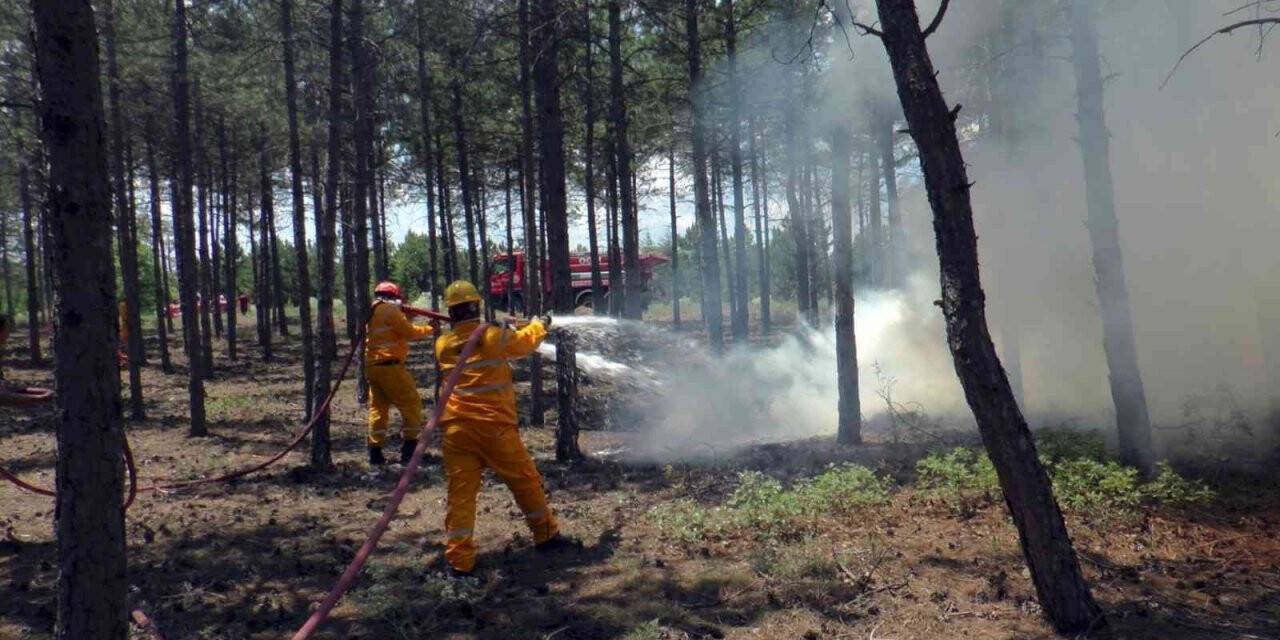 Orman yangınları ile mücadelede işbirliği konuşuldu