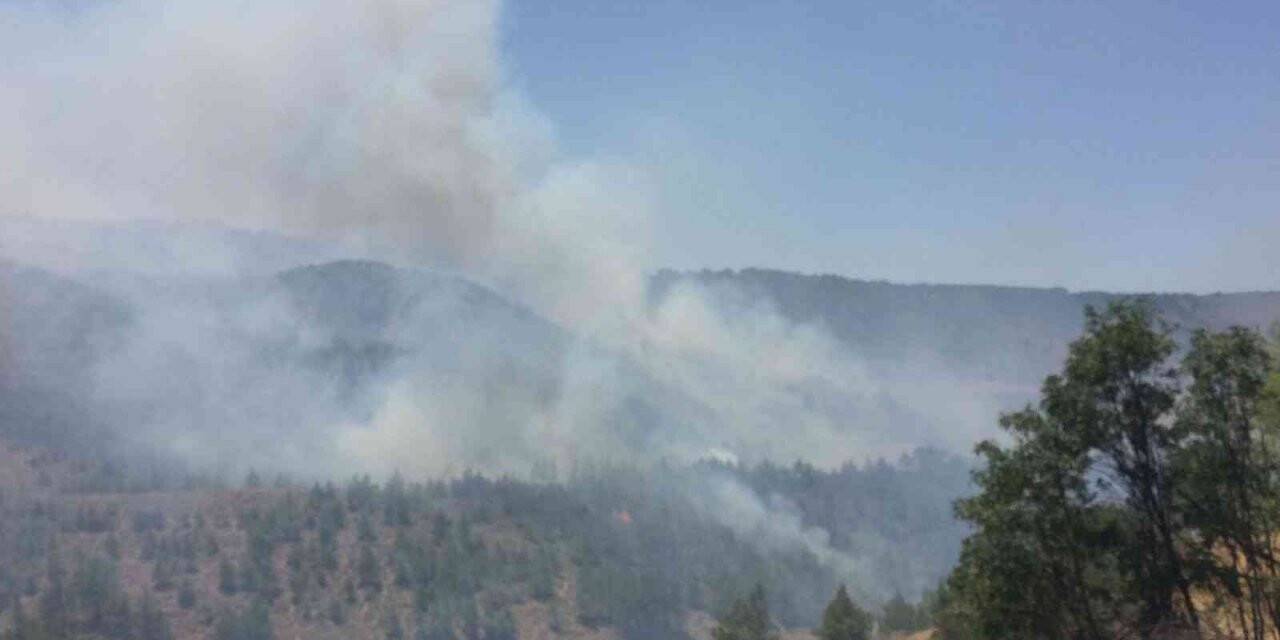 KKTC’de arazide başlayan yangın ormanlık alana sıçradı