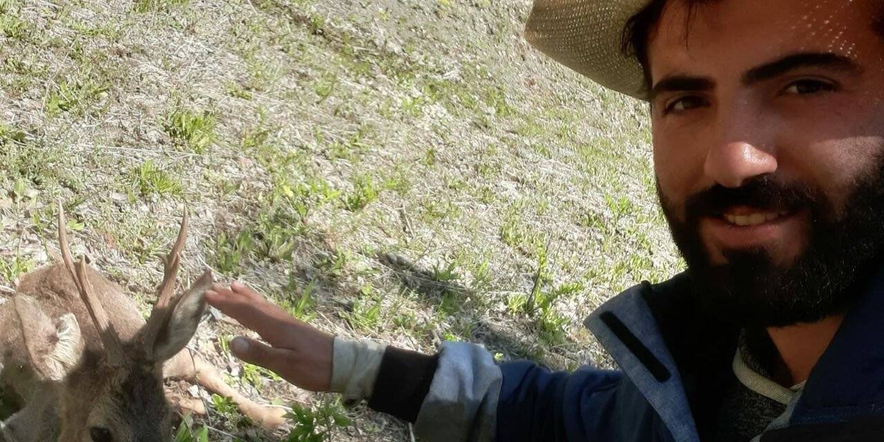 Mantar toplamak için gittiği arazide yaralı karaca yavrusu buldu