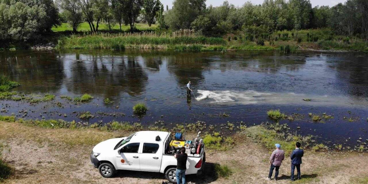Kızılırmak Havzası’nda et ve süt üretimini düşüren sineğe karşı etkin mücadele