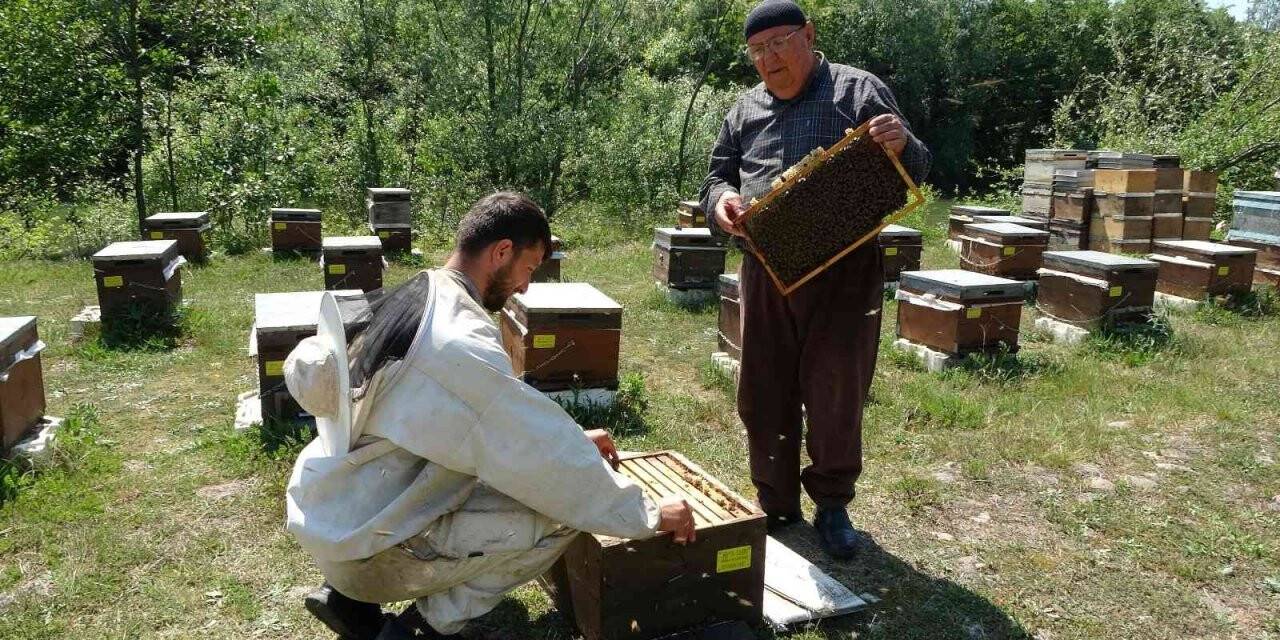 Arıcıların besleme için şeker talebi