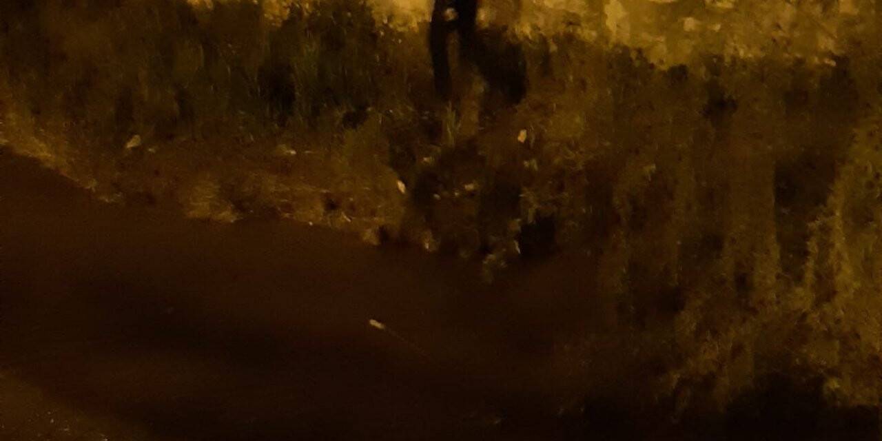 Van’da kaçak balık avlayanlara yönelik denetimler sürüyor