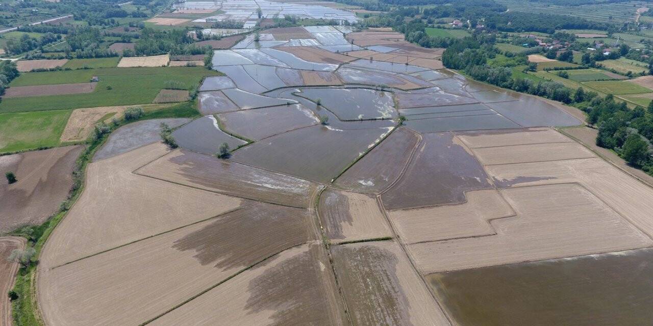 Sinop’ta çeltik ekimi başladı