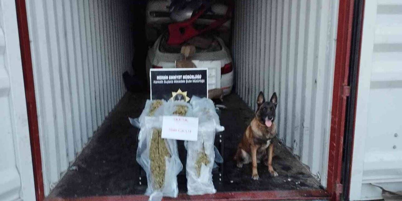 Mersin Limanı’nda 5 kilo 800 gram skunk ele geçirildi