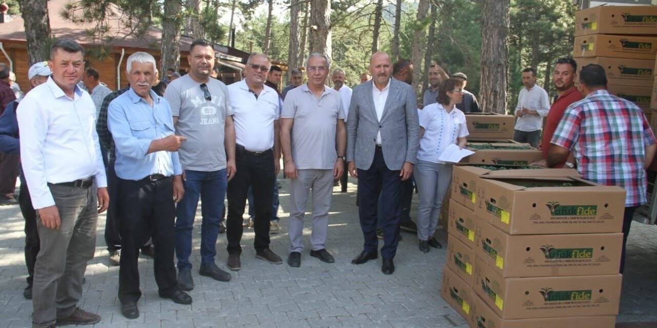 Kuyucak’ta üreticilere binlerce domates fidesi dağıtıldı