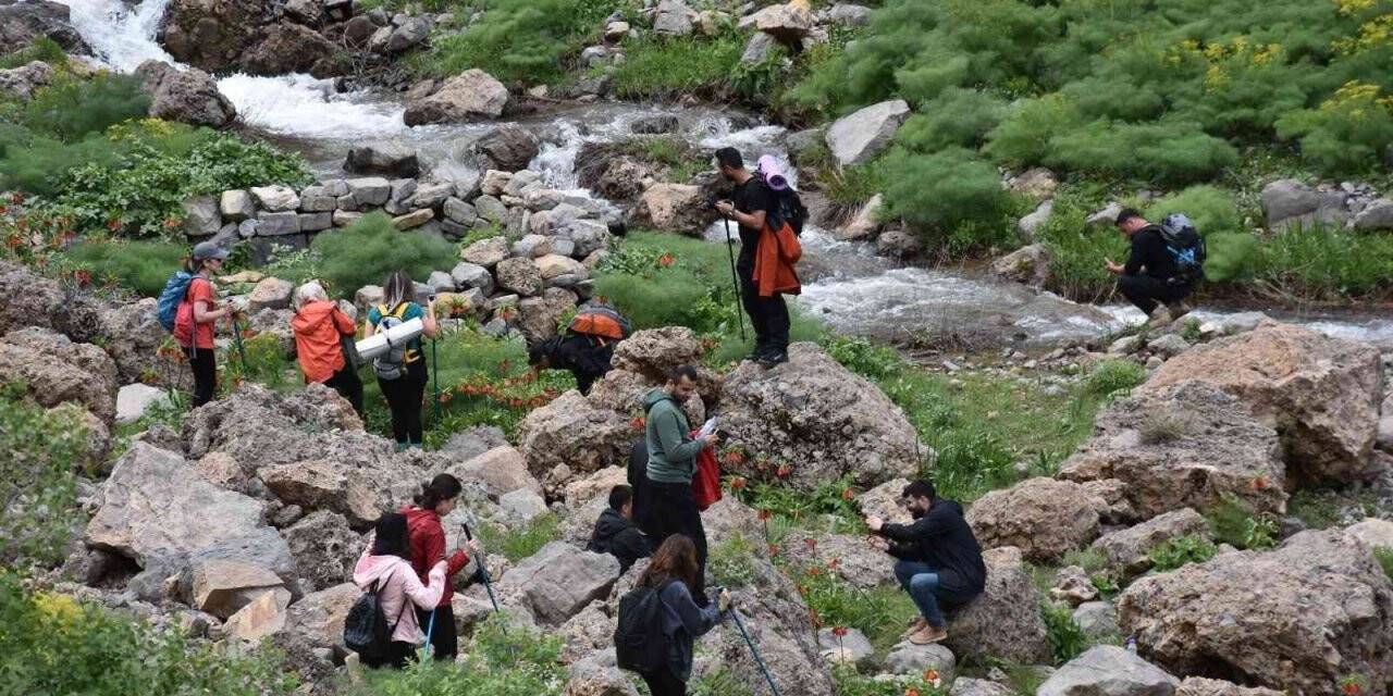 Şırnak’ta ters lale için turlar düzenleniyor