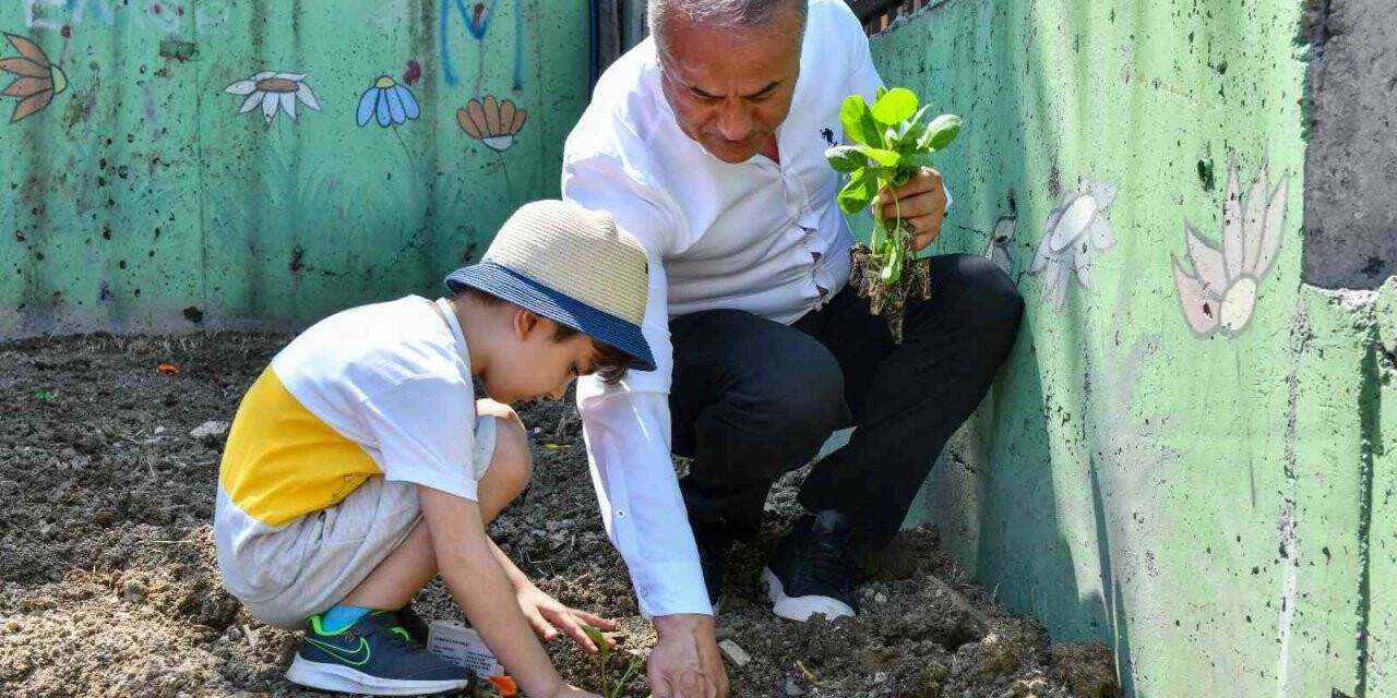 Esenyurtlu minikler fide dikti