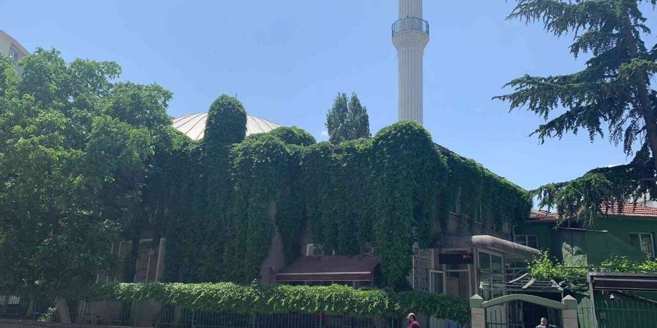 Bu caminin duvarları sarmaşıktan gözükmüyor