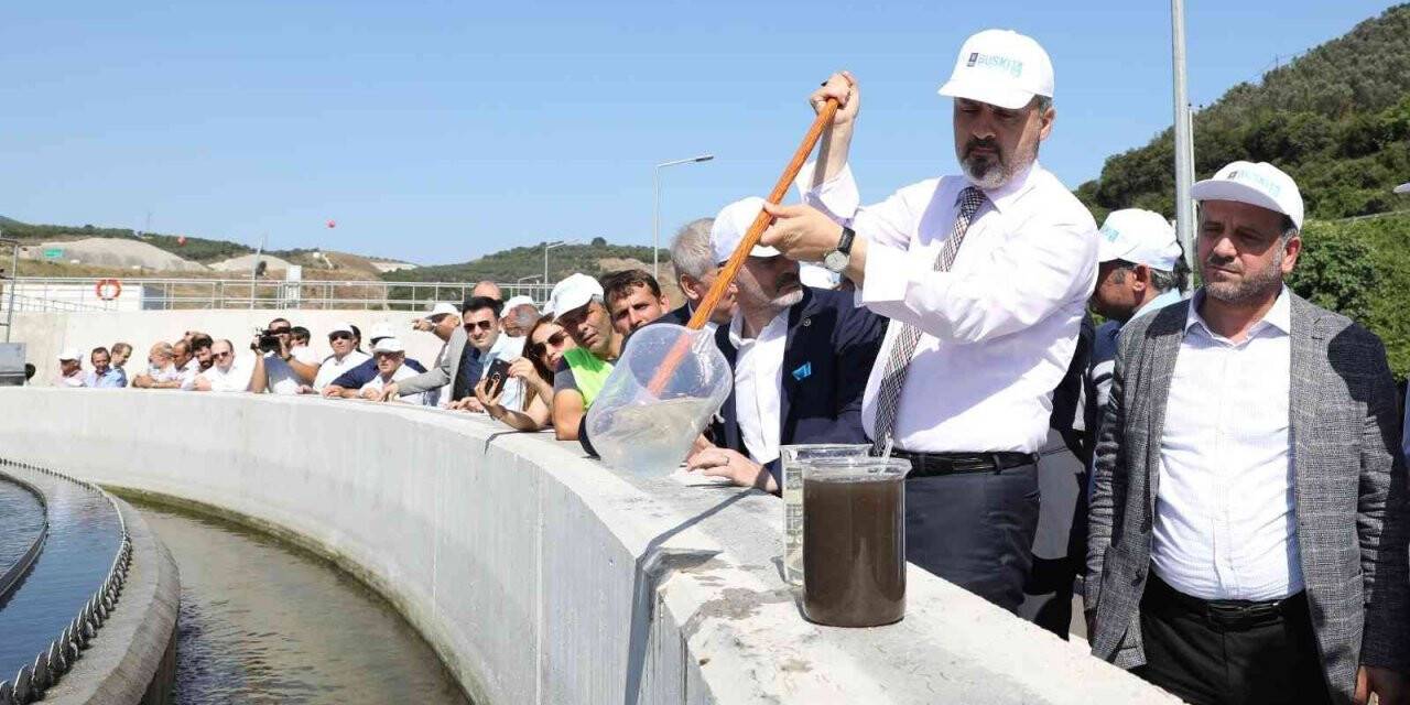 Bursa’da deniz suyu kalitesi artıyor