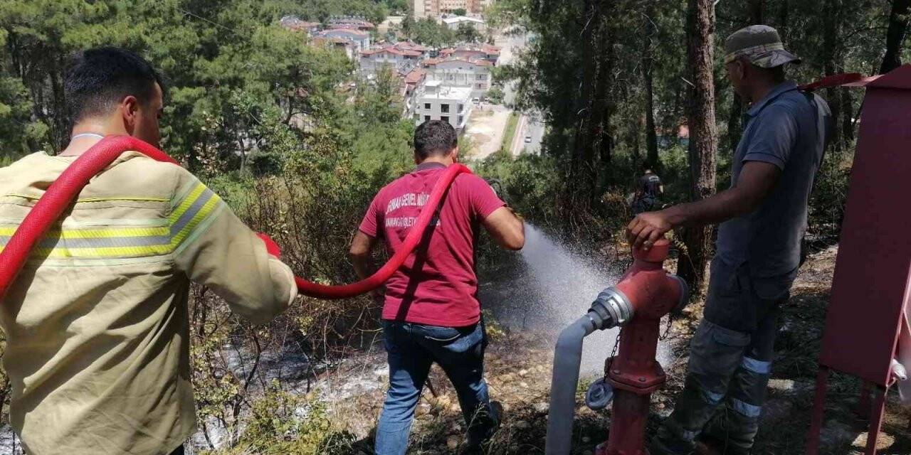 Ormanlık alanda çıkan yangın büyümeden söndürüldü