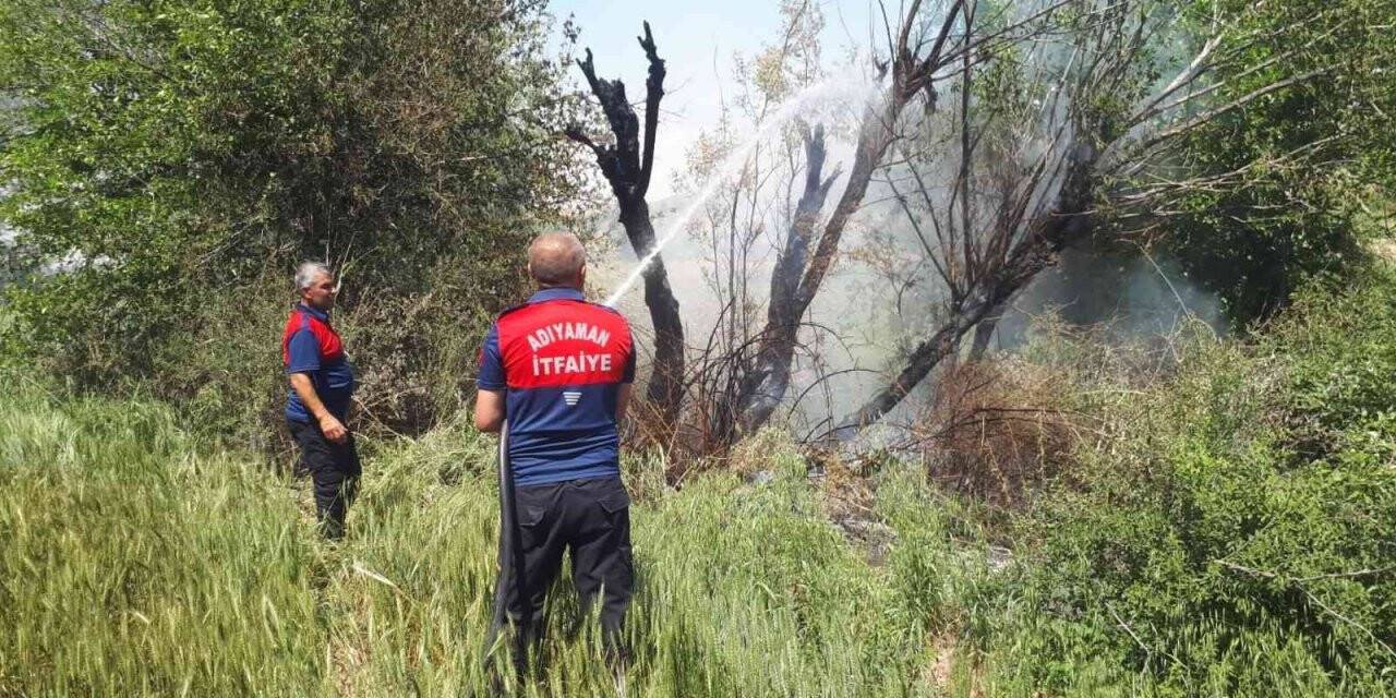 Dere içerisindeki ağaçlar yandı