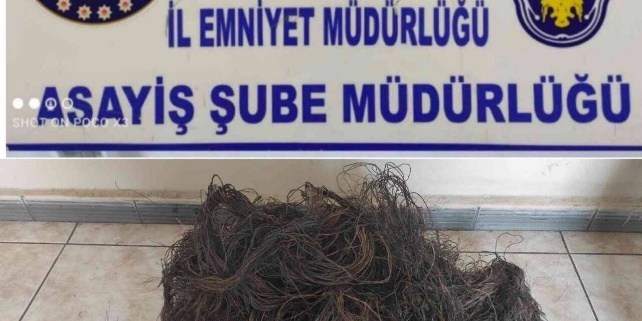 Kablo hırsızları yakalandı