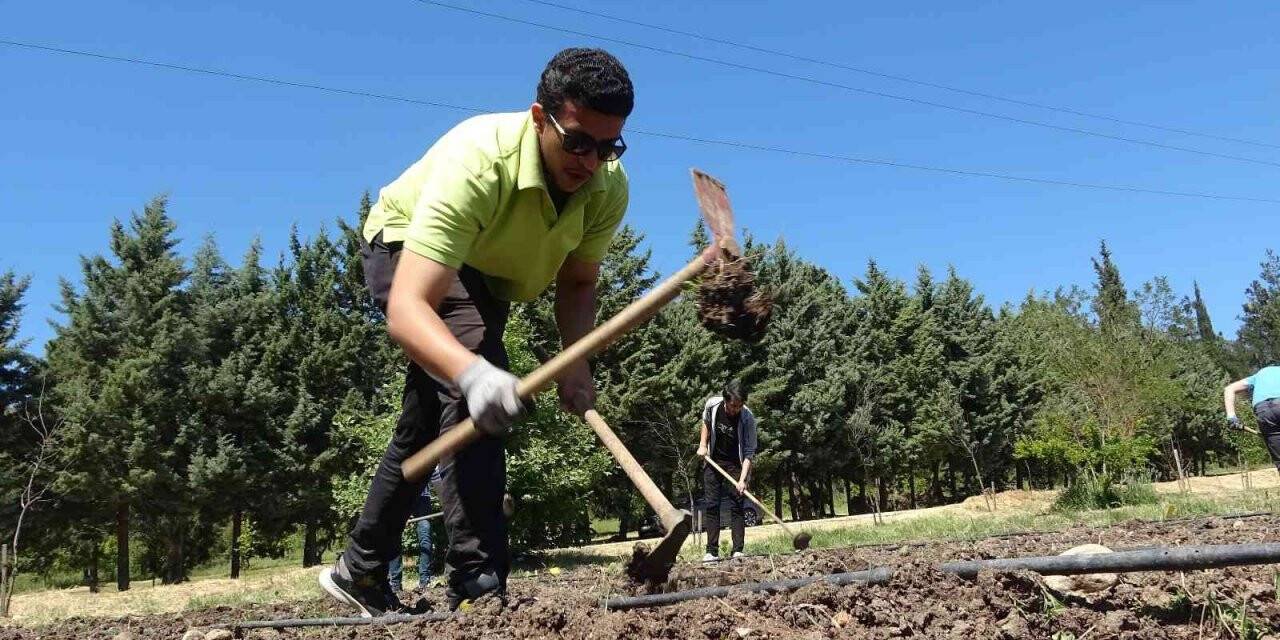3 bin kilometre uzaktan doğru tarım için geldiler