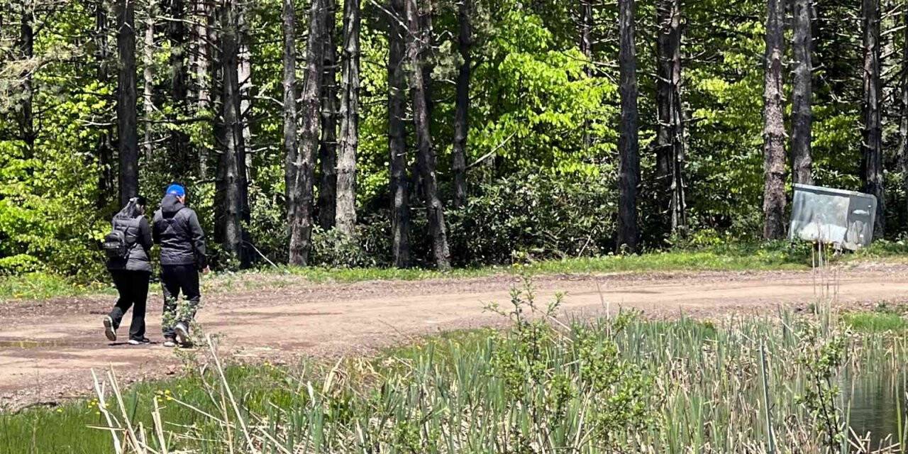 Doğa tutkunlarının rotası Topuk Yaylası oldu