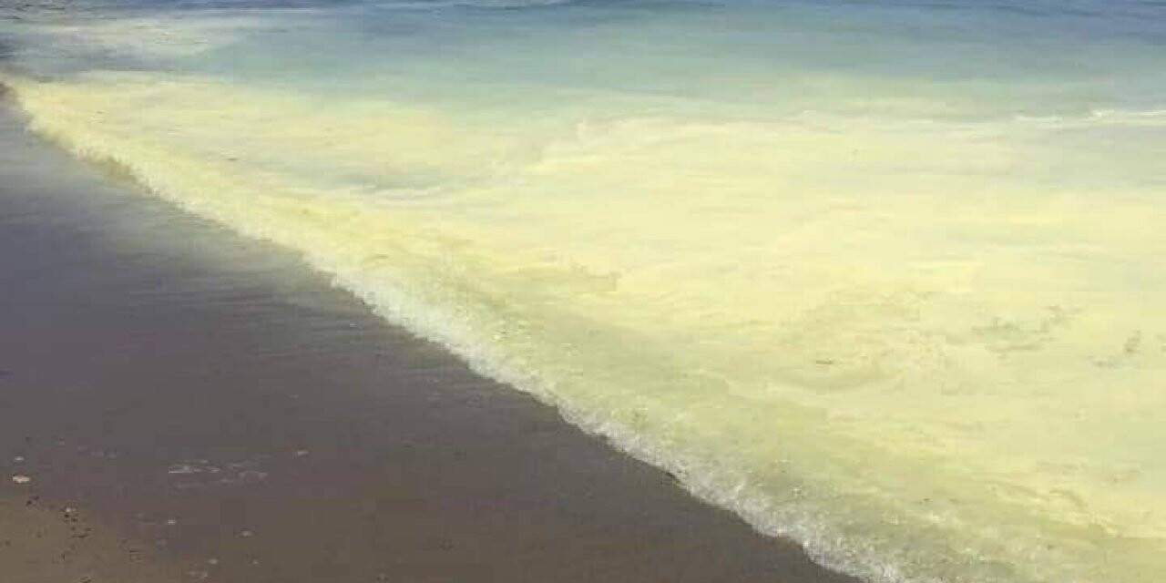 Güzelkent sahilinde görülen sarıya dönük tabaka araştırılıyor