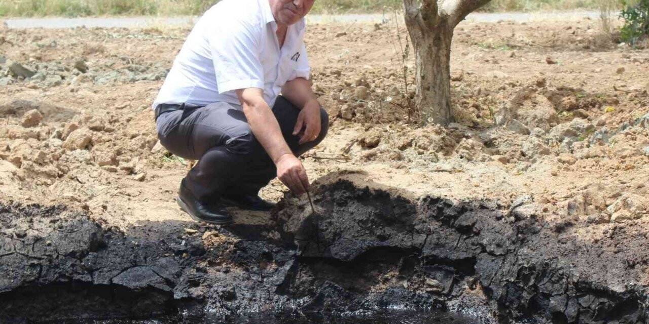 Manisa’da petrole benzer siyah sıvı heyecan uyandırdı