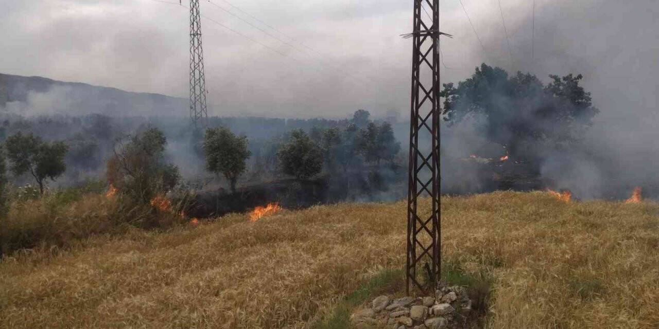 Bozdoğan’da zirai alanda yangın çıktı