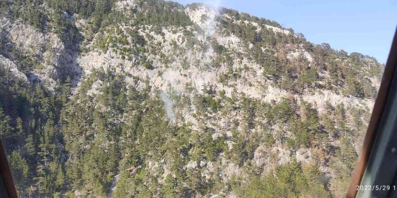 Alanya’da orman yangını