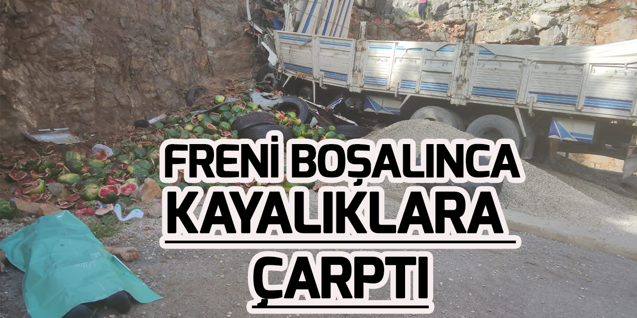 Konya'da kayalıklara çarpan kamyonun sürücüsü öldü
