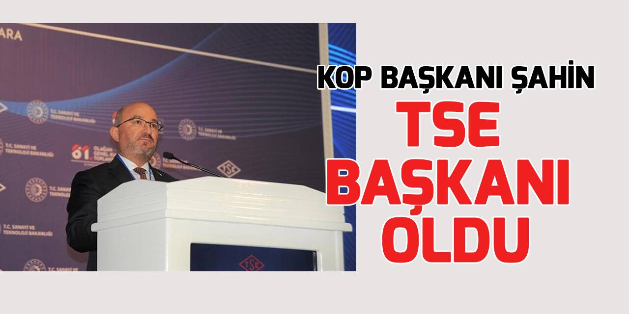TSE'nin yeni Başkanı Mahmut Sami Şahin oldu
