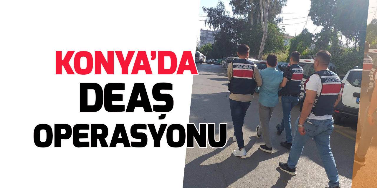 12 ilde DEAŞ operasyonu