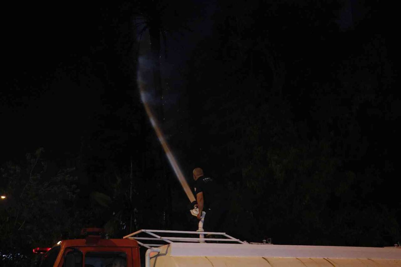 Palmiye ağacı yandı, vatandaşlar merakla izledi