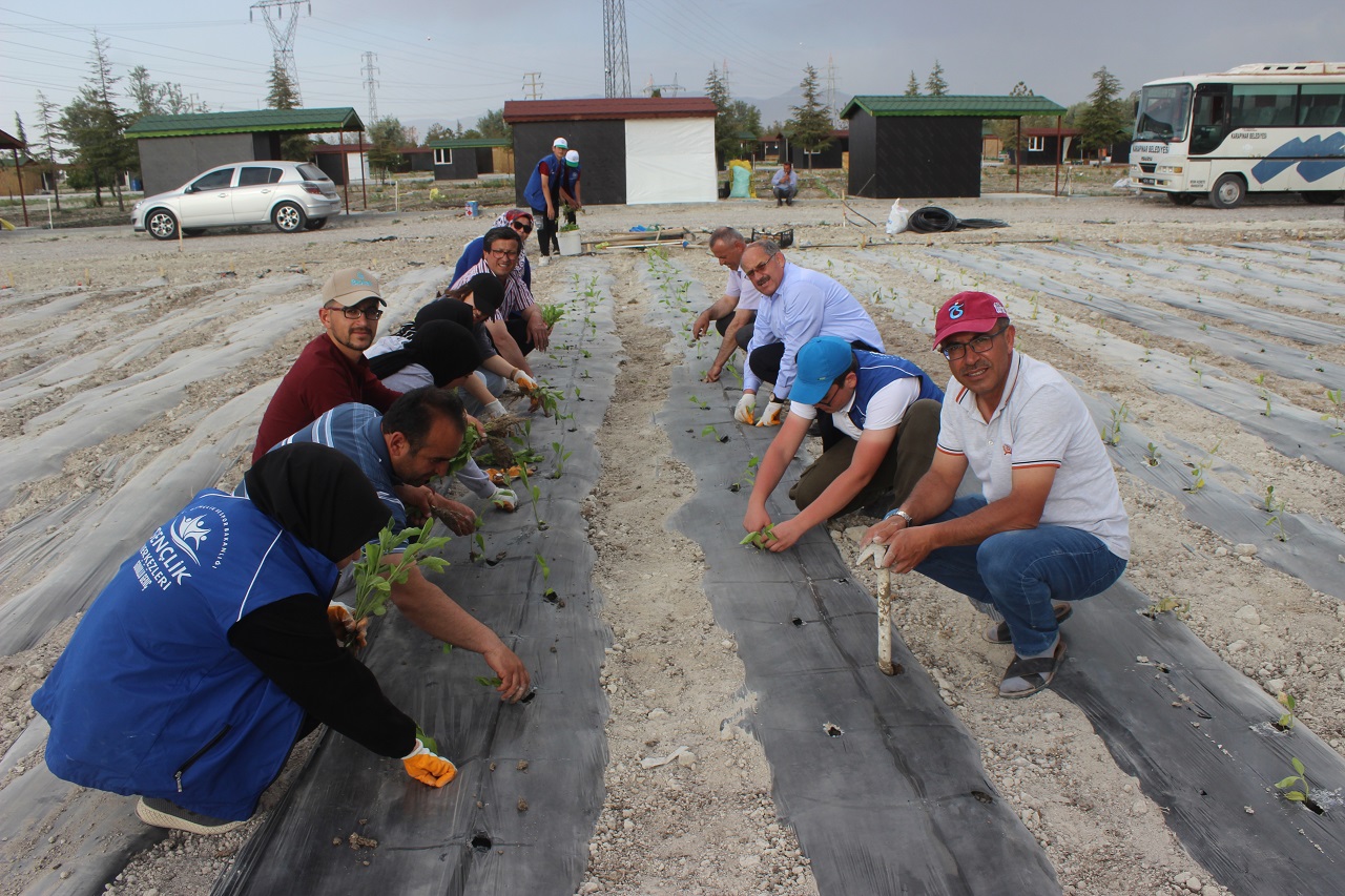 Karapınar'da organik tarım ve çilek yetiştiriciliği eğitimi veriliyor