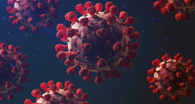 Maymun çiçeği virüsü Macaristan’a sıçradı