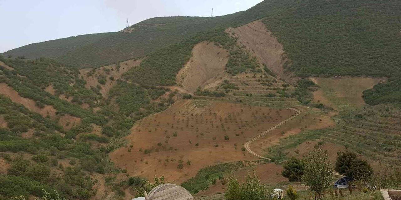Kurtlar Vadisini ceviz fidanlarıyla yeşil vadiye dönüştürdü