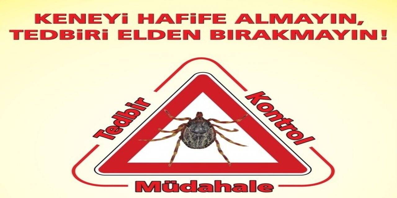 Doğada bulunurken kene popülâsyonuna dikkat!