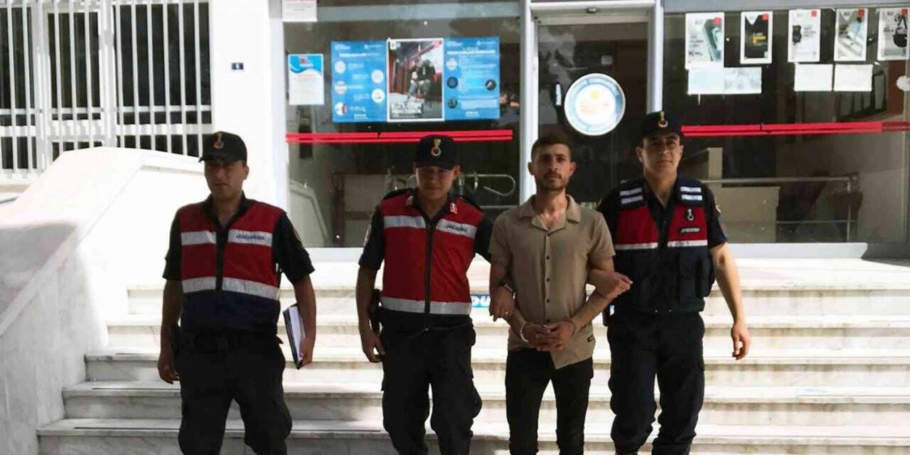 Polisi darp etti, tutuklandı