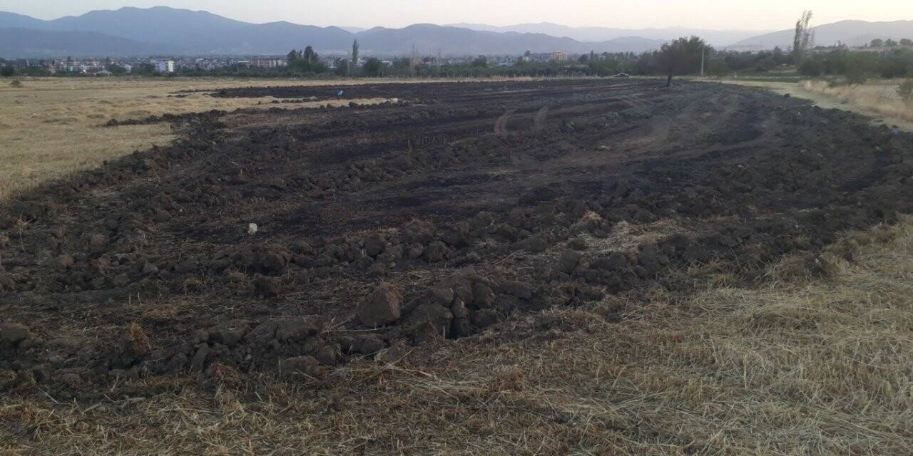 5 dönümlük emek küle döndü