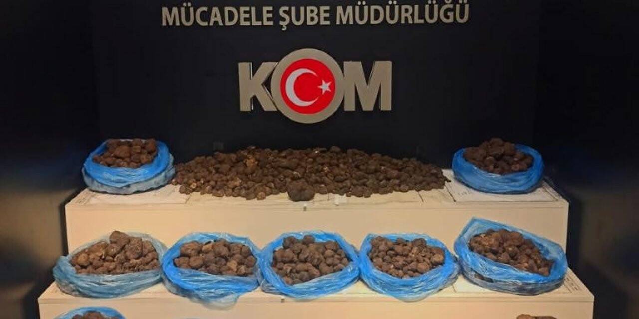 Van’da 97,5 kilogram kaçak trüf mantarı ele geçirildi