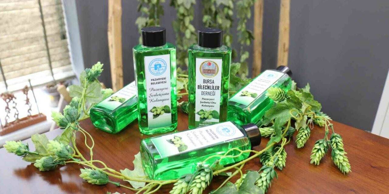 Türkiye’de sadece Bilecik’te yetişiyordu, kolonyası da yapıldı