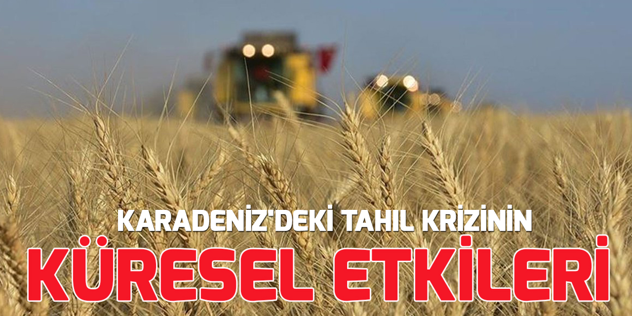 Karadeniz'deki tahıl krizi ve küresel sisteme etkileri
