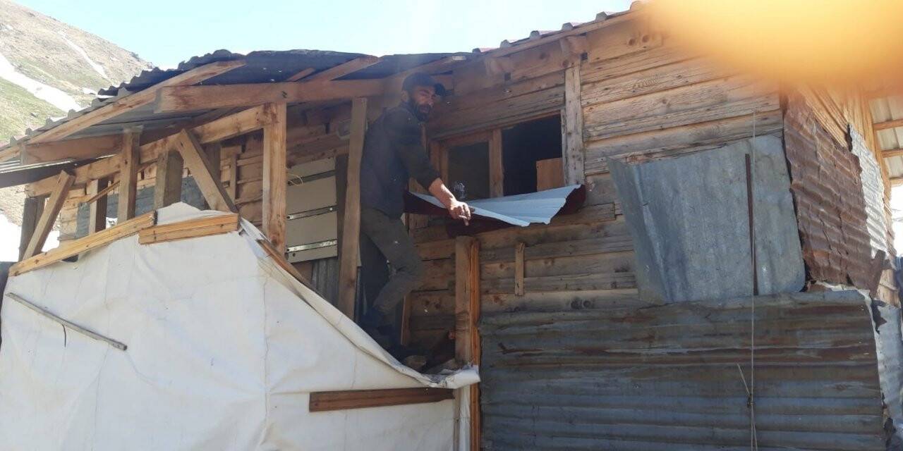 Aç kalan ayılar yayla evlerini talan etti