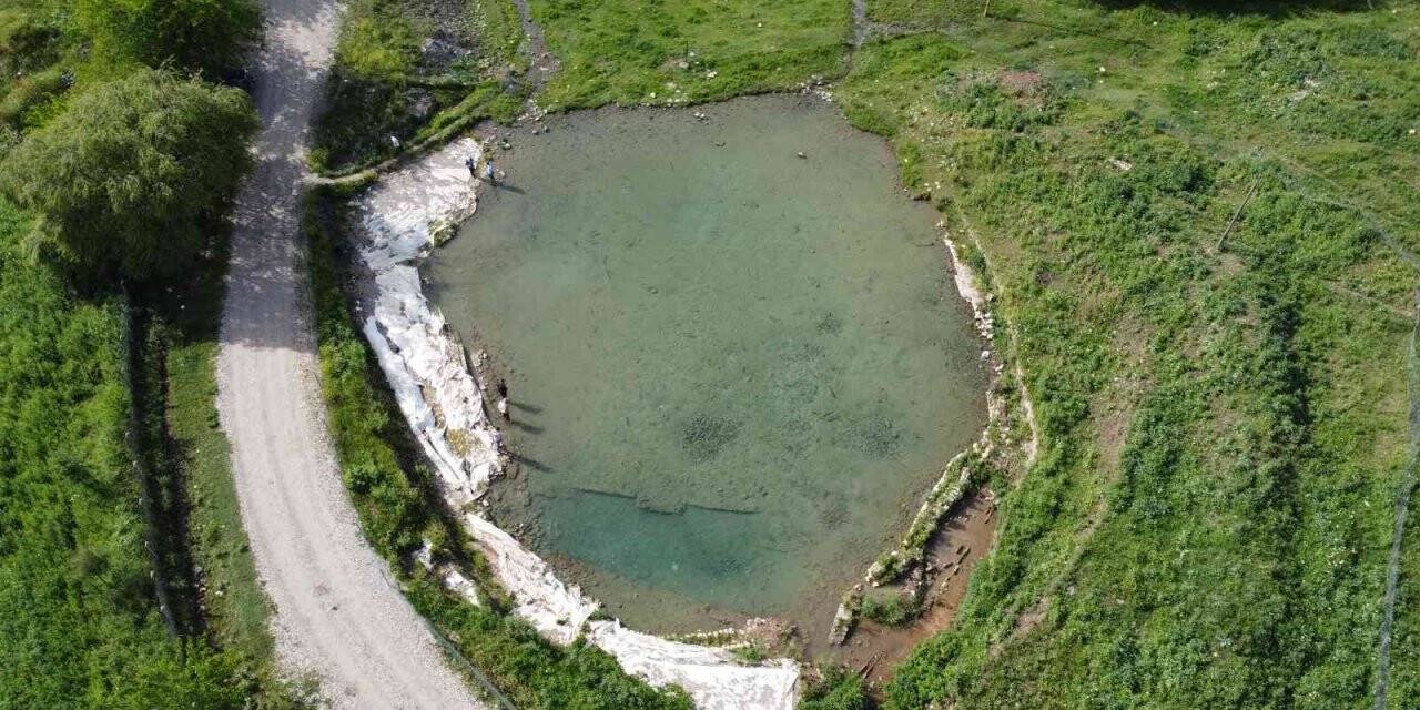Siirt’te doktor balıklar şifa dağıtıyor