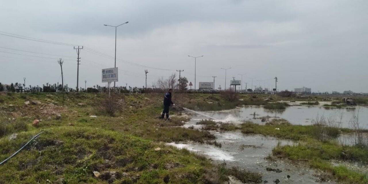 Haşere ile mücadele aralıksız devam ediyor