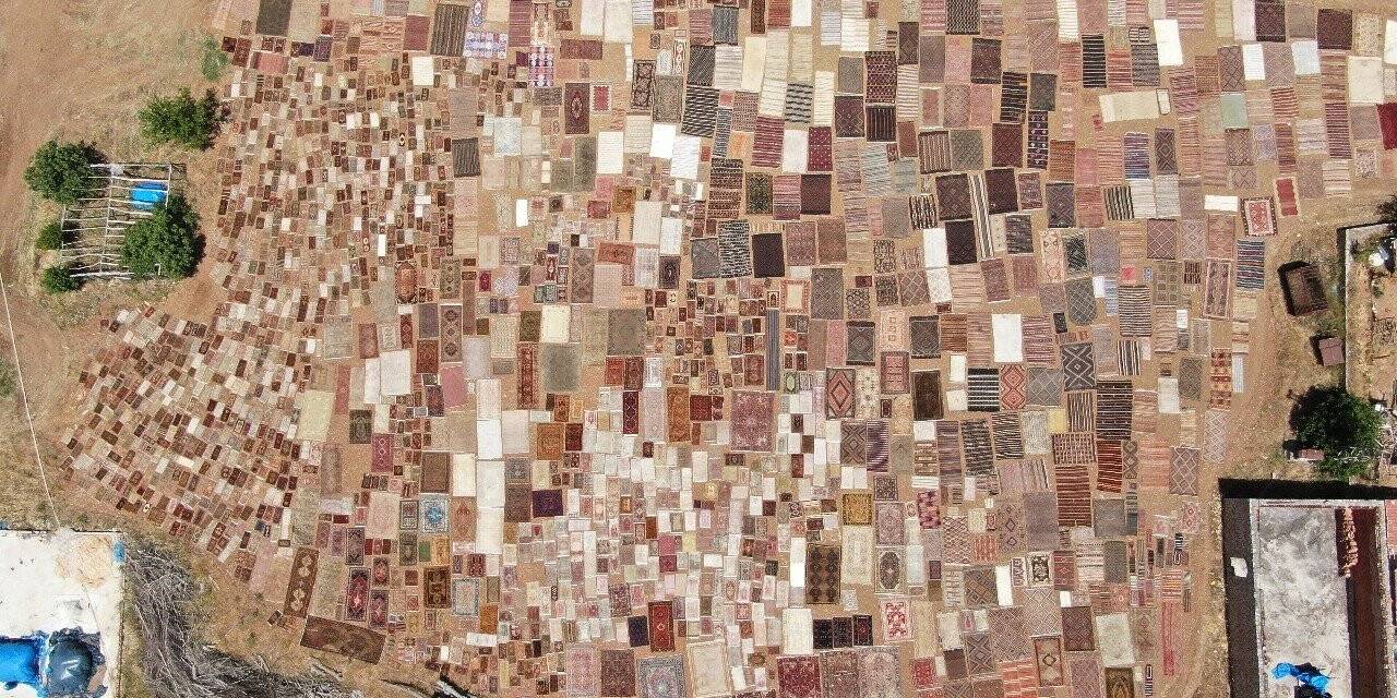 ’Halı tarlaları’nda sezon açıldı, buğday tarlalarında renk cümbüşü yaşandı