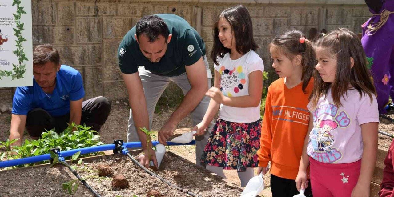 Okul bostanı projesiyle öğrenciler toprakla buluşuyor