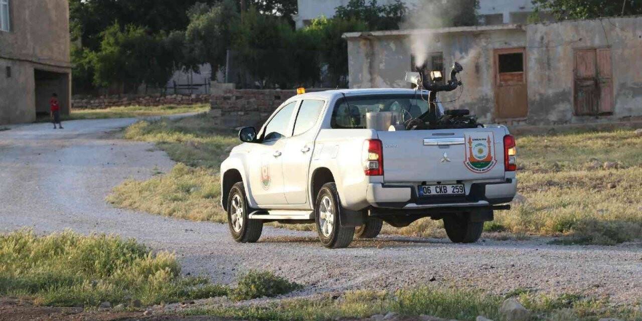 Şanlıurfa’da ilaçlama seferberliği